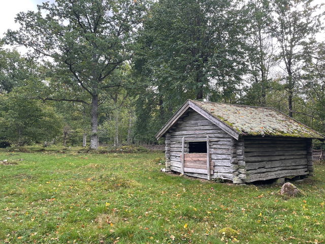 Ängslada, Lidahult