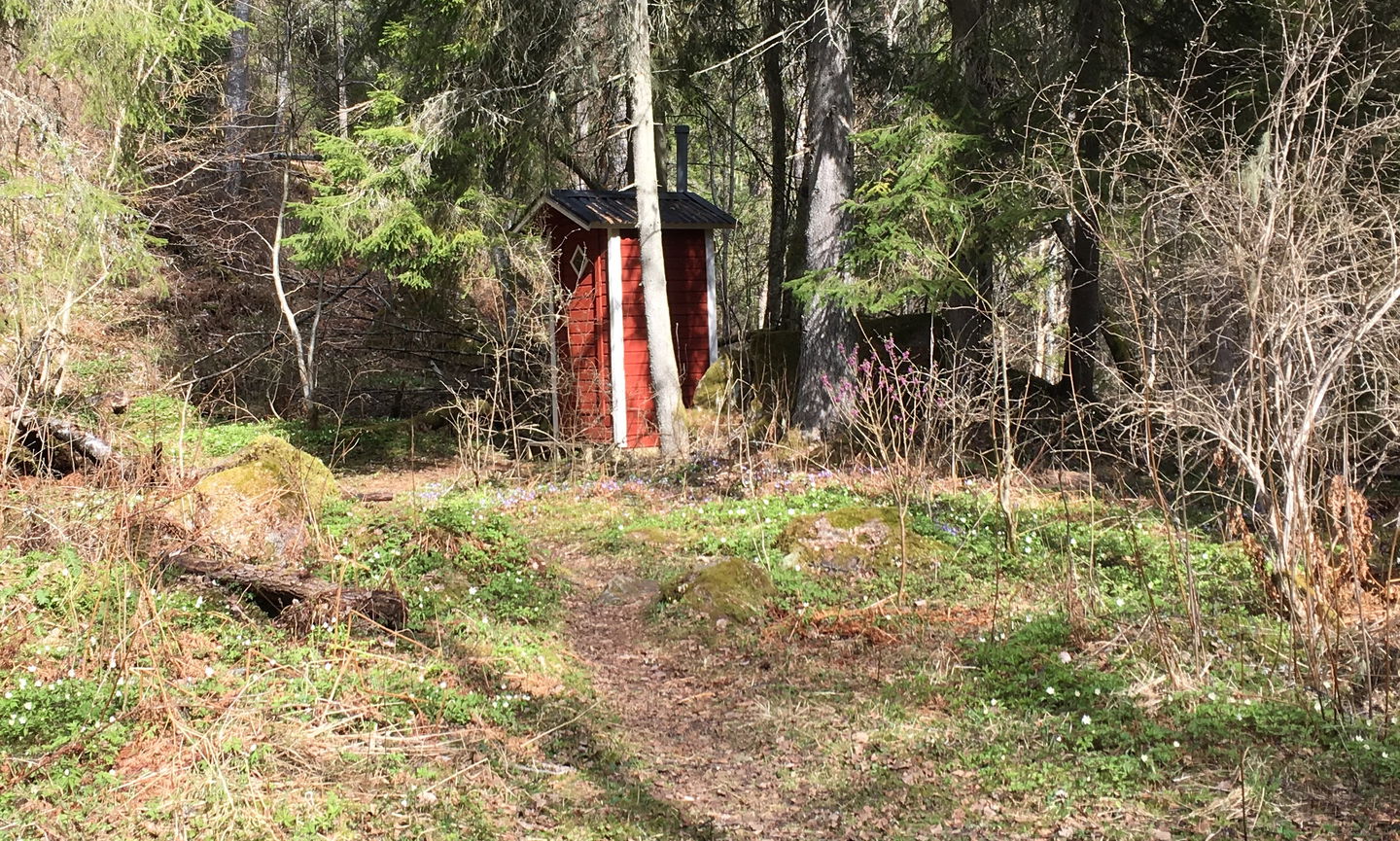 En liten torrtoalett står mellan trädstammar i skogen.