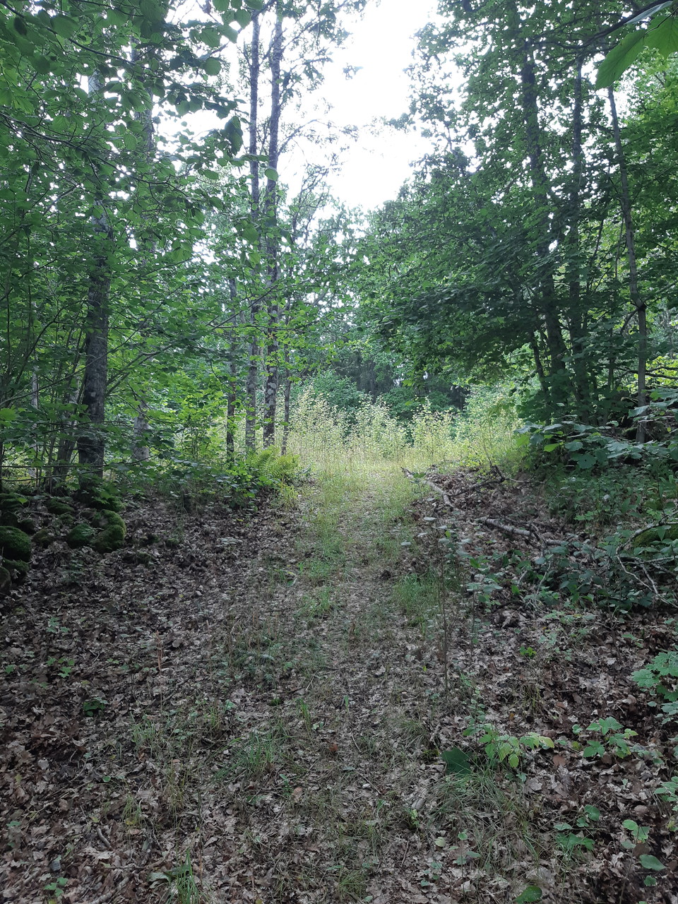 The path that leads up to the memorial stone