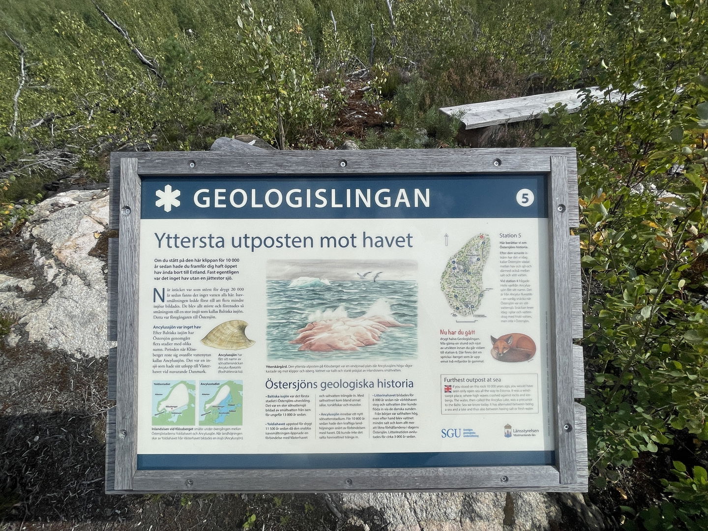 Informationsskylt vid stig, om geologi.