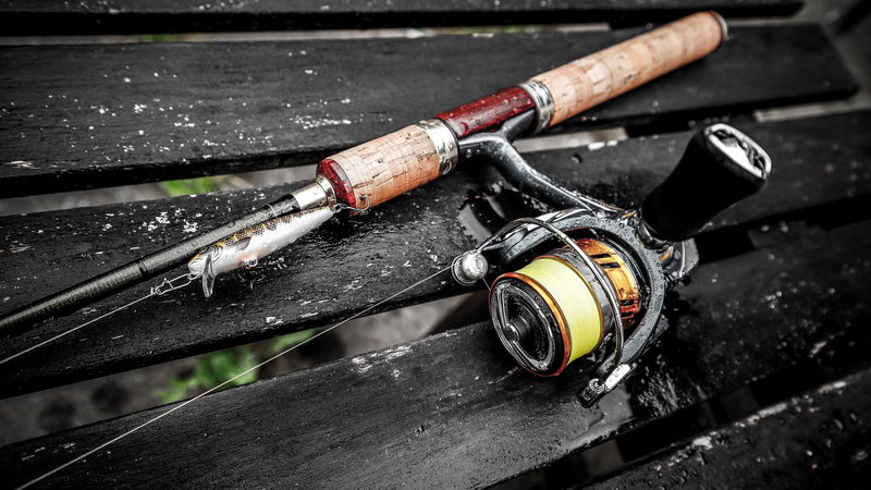 Gula kortet, Plogfoten