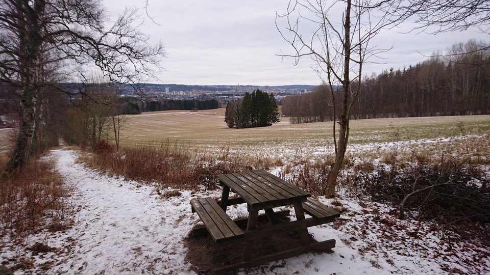 Utsikt från bokskogen