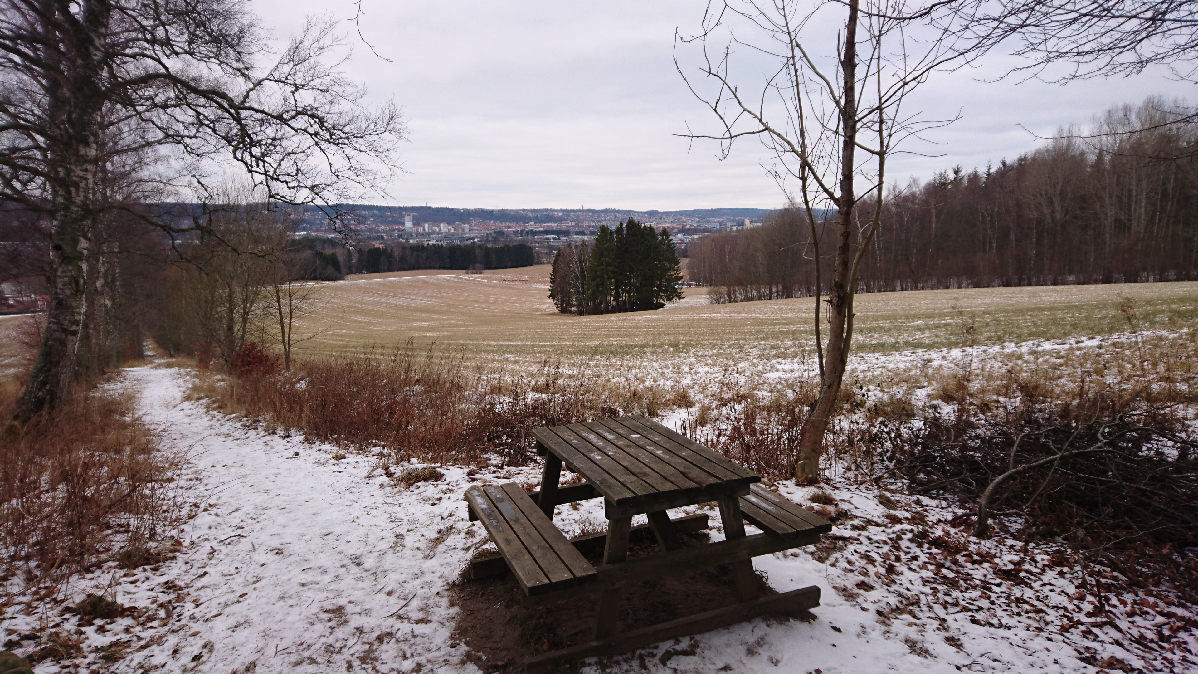 Utsikt från bokskogen