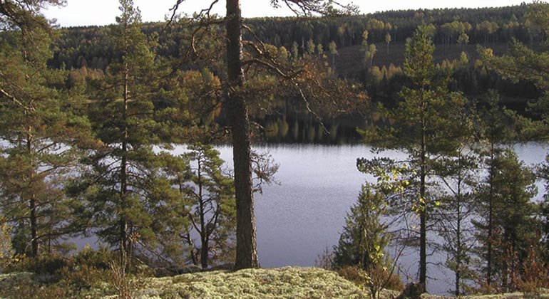 Utsikt över Håkansbodasjön.
