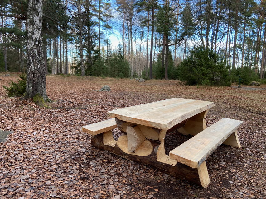 Ett rastbord med fasta bänkar står på en öppen yta täckt av höstlöv. I bakgrunden syns skog.