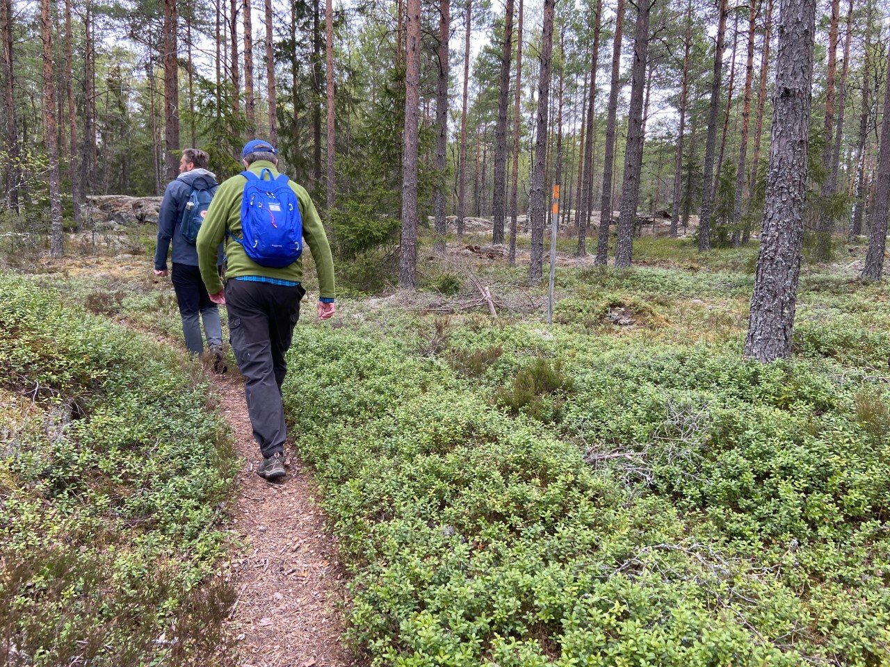 The Uppland Trail, section 22, 9.5 km