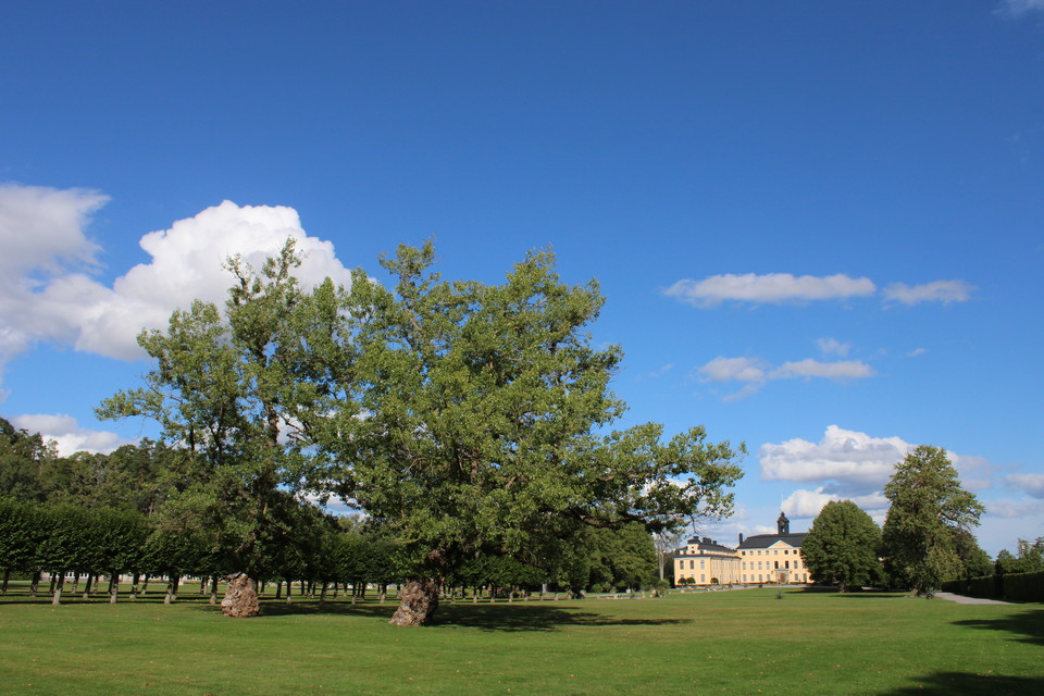 Ulriksdals slott