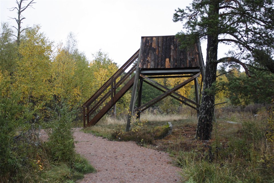 En brant trappa med handräcken leder upp till ett utsiktstorn i skogen.
