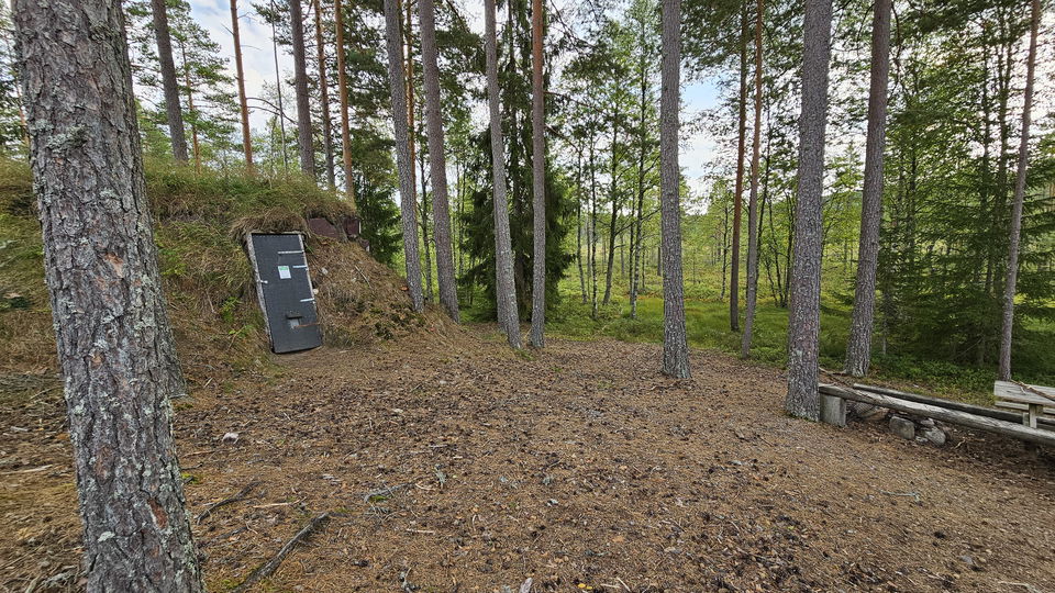 Nybyggda kolarkojar bland tallskog.