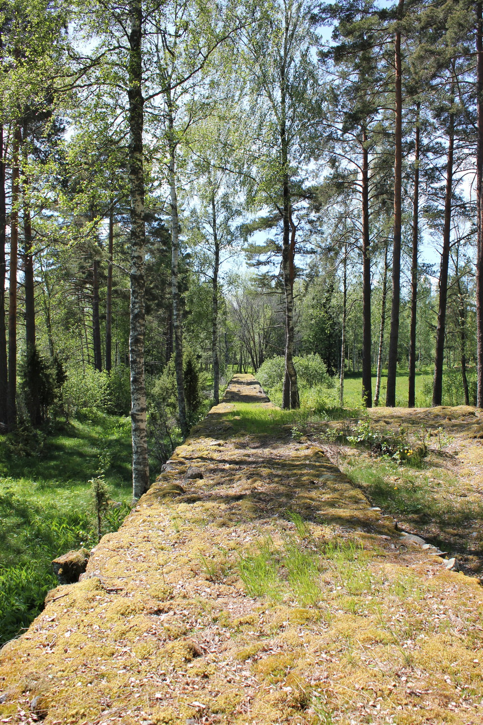 Brännvinsmuren i Garpenberg
