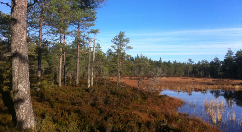 Länsstyrelsen dalarna