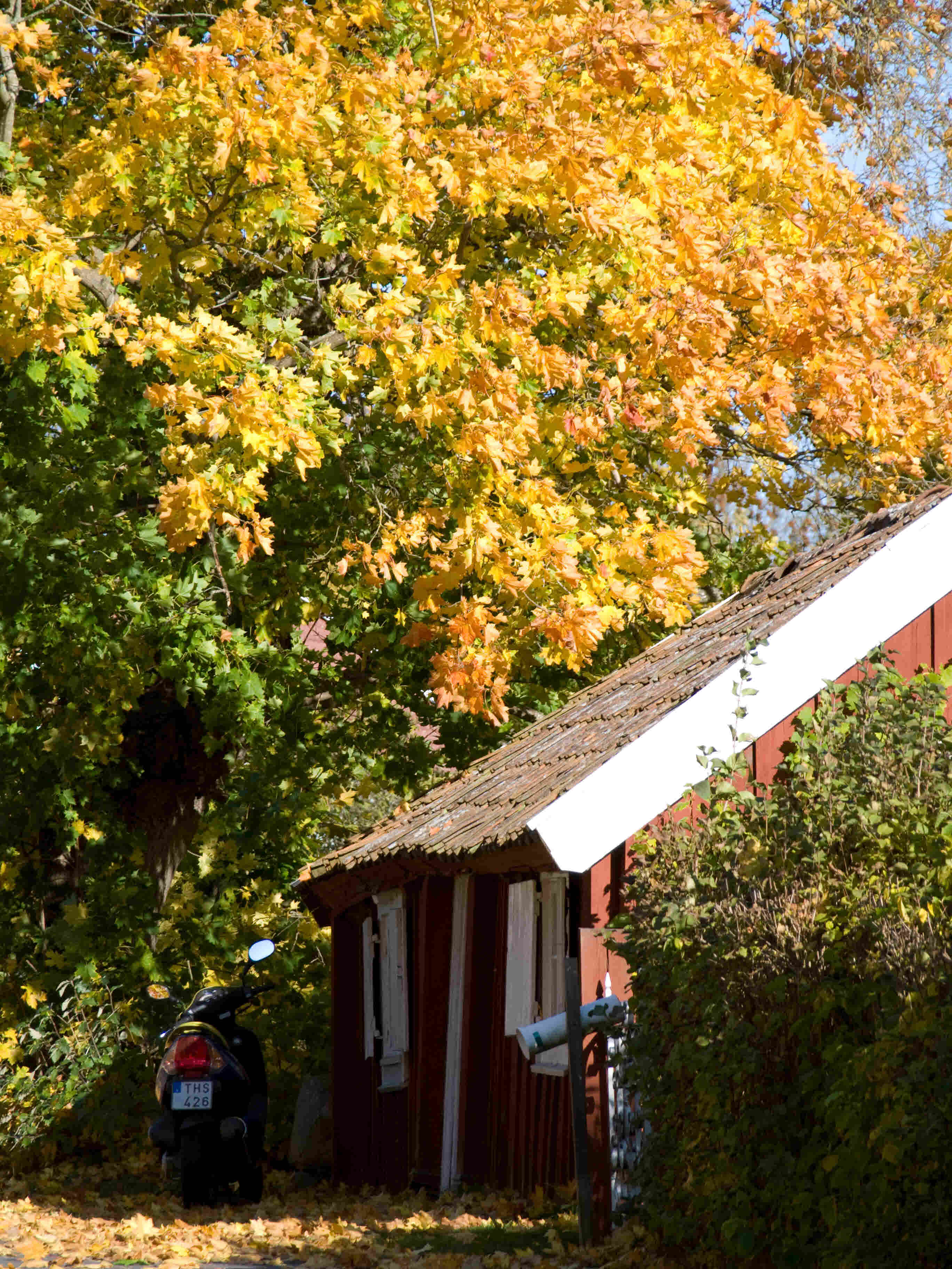 Liten byggnad, Hossmo