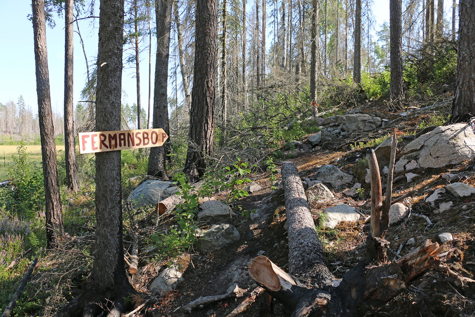 Vägvisningsskylt på ett träd vid en brant.