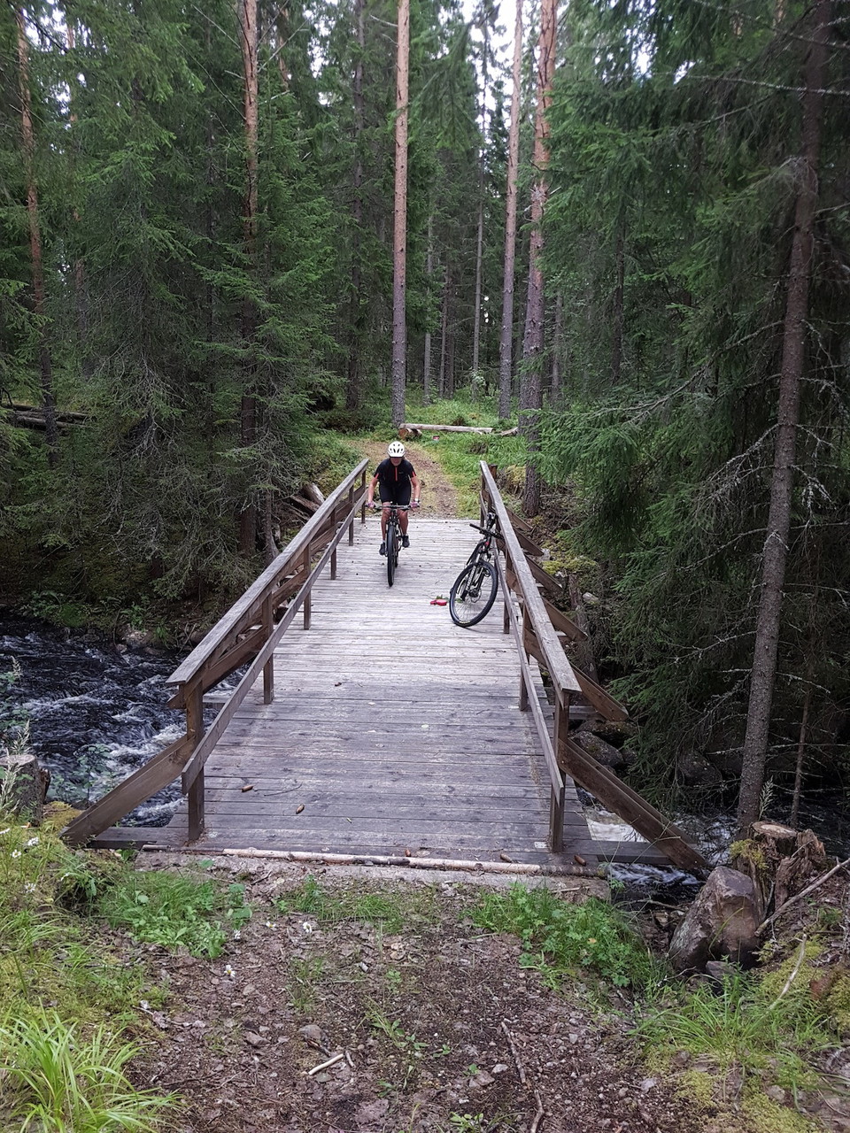 Renoverad bro längs med vägen
