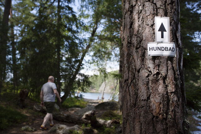 Hundbad vid Gömmaren, norr om sjön