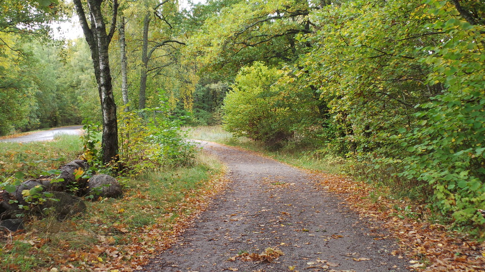 Grusvägen mot Säby gård