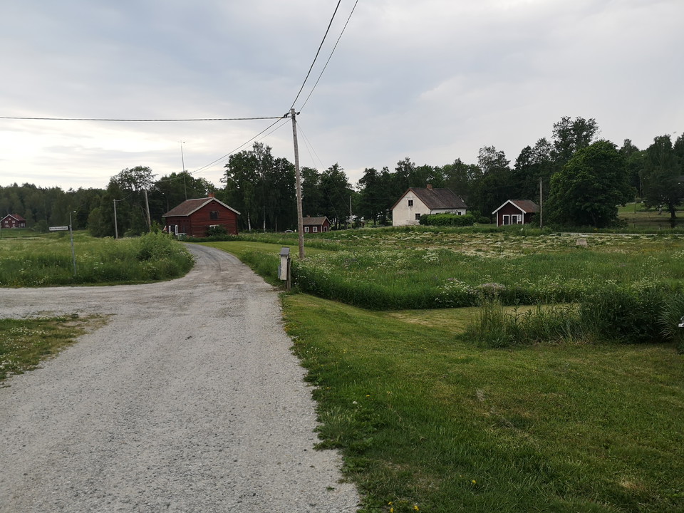 Larsbo 