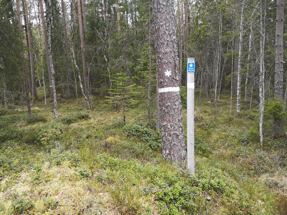 Vy mot reservatet