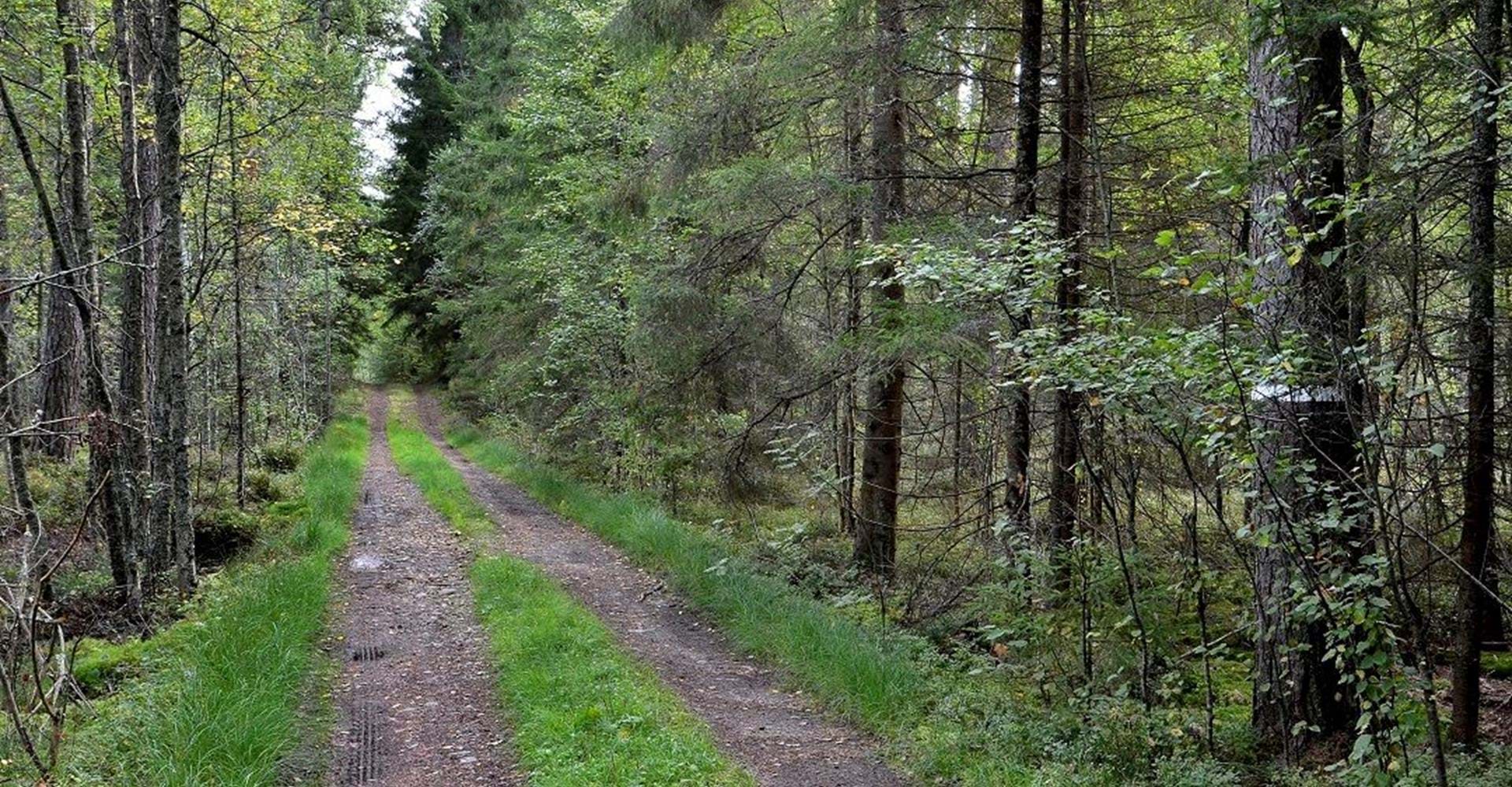 Grusväg Flädemo naturreservat
Etapp: Medevi-Godegård
Motala