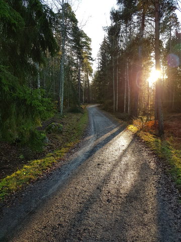 Kallhäll motionsspår