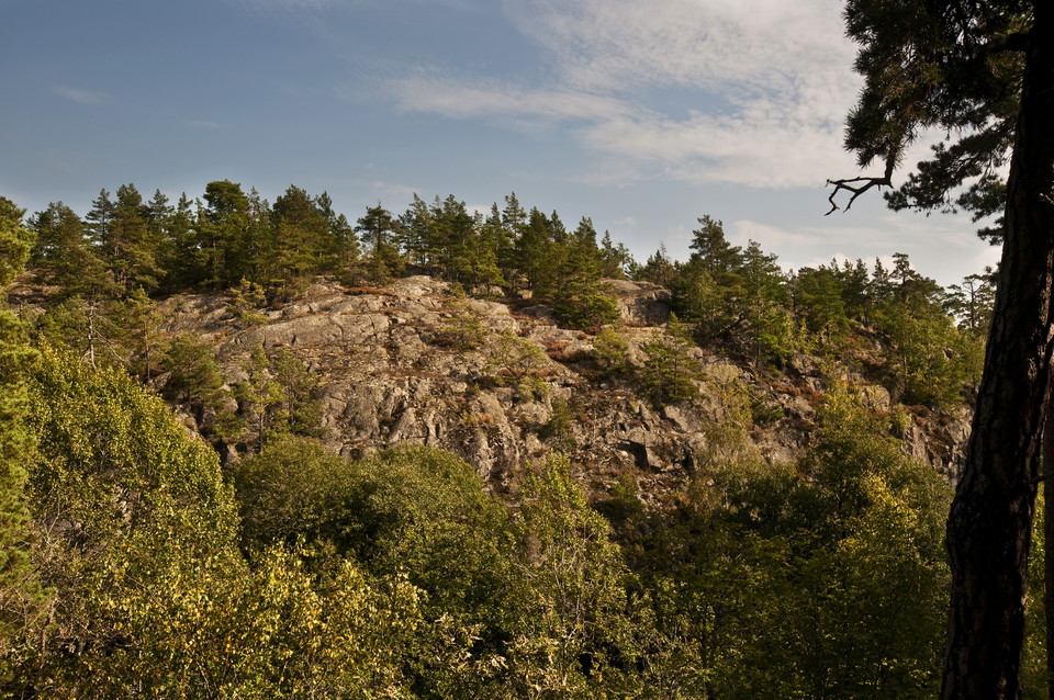 Branter vid fornborgen