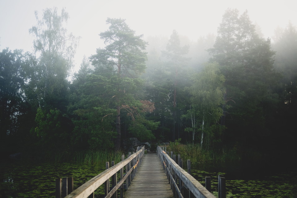 Vandringleden Duveholmsleden, foto: Josefine Karlsson