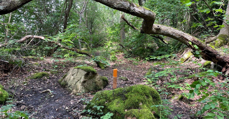 Tät skog mellan Orrnäs betesmark och Öninge hamn
Orrnäs rundslinga
Ödeshög kn