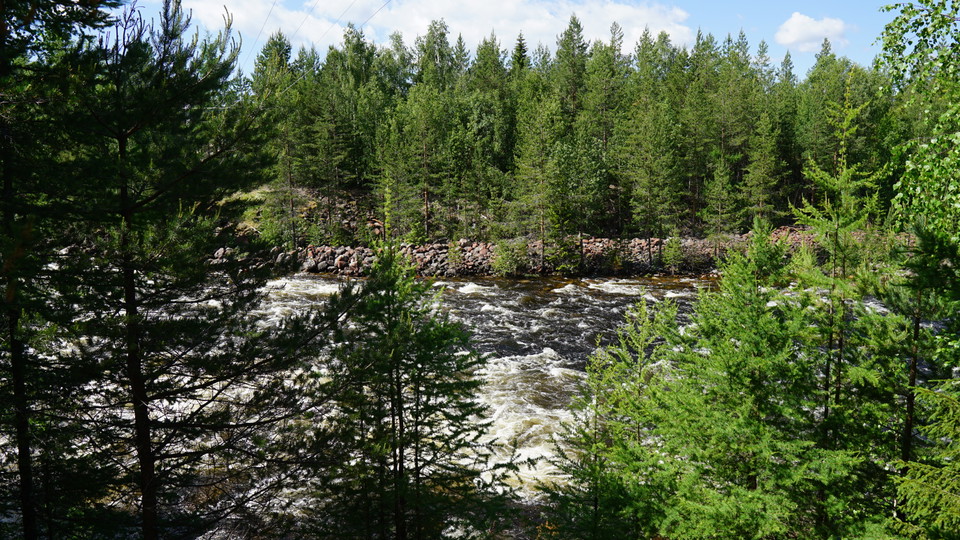Slingan går längs den mäktiga forsen. Fotograf: Johanna Öhrling