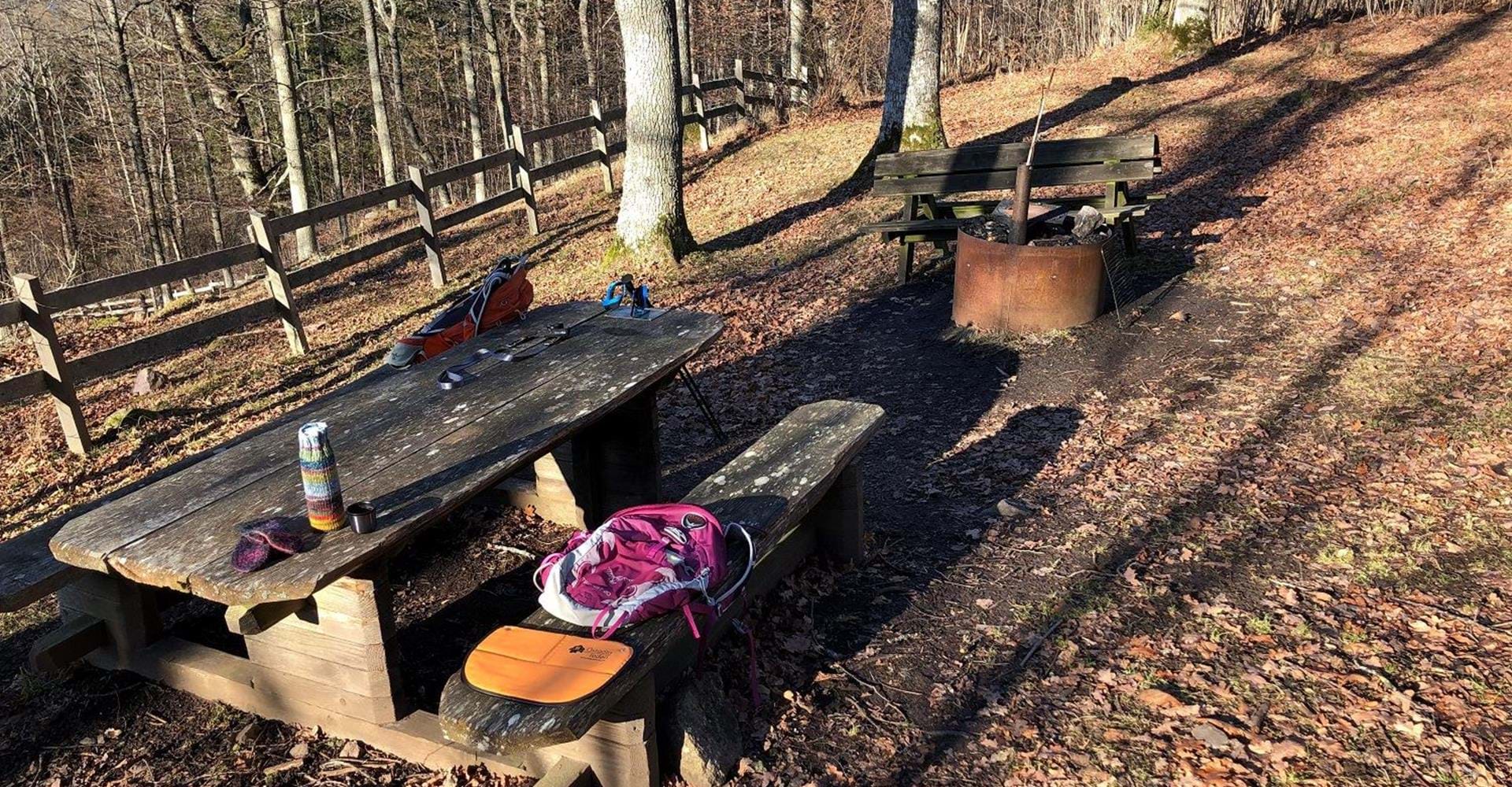 Ombergs jätteekar, grillplats