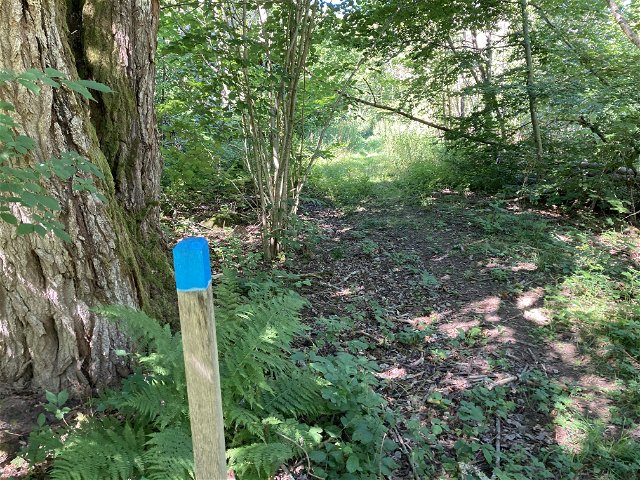 Walking trail - Hackekvarn nature reserve (blue)