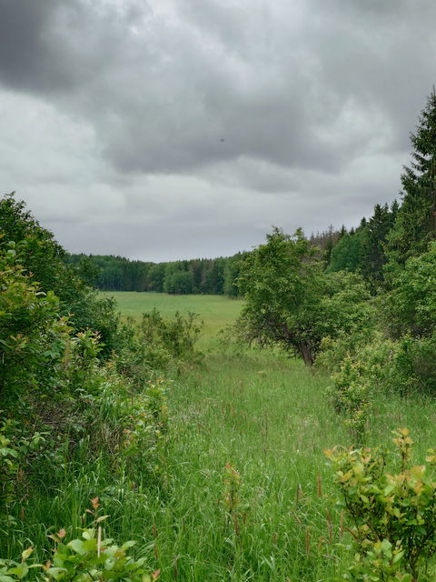 Utsikt vid Stora Ladängen
