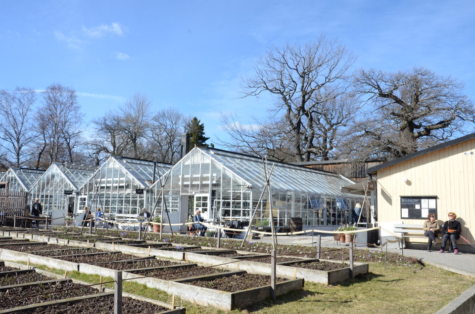 Rosendals trädgård.