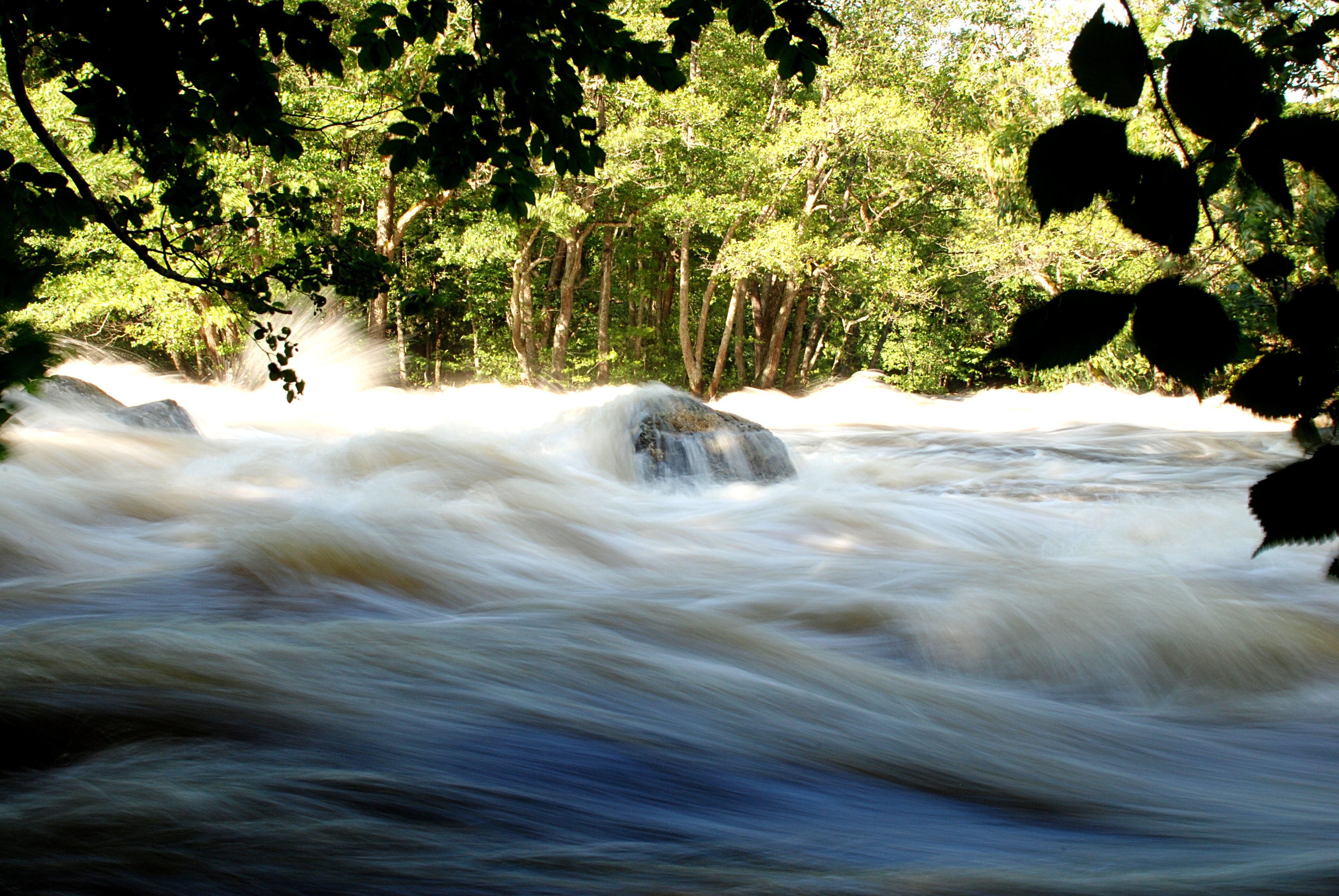 Vattnet forsar fram i hög hastighet i ån.