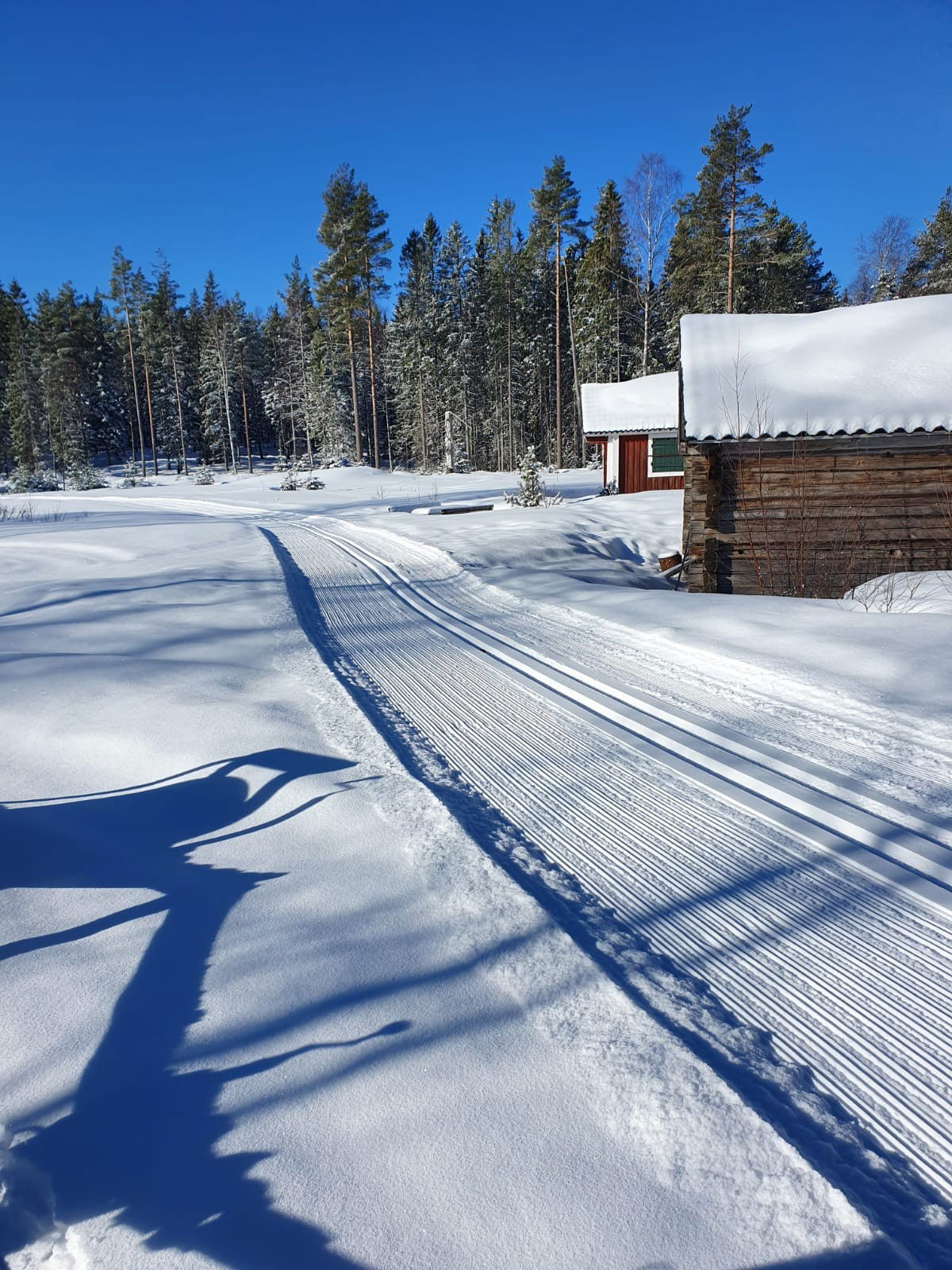 Ovansjöspåret vid Majbodarna