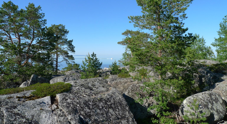 Utsikt ut mot havet från ön Gran.