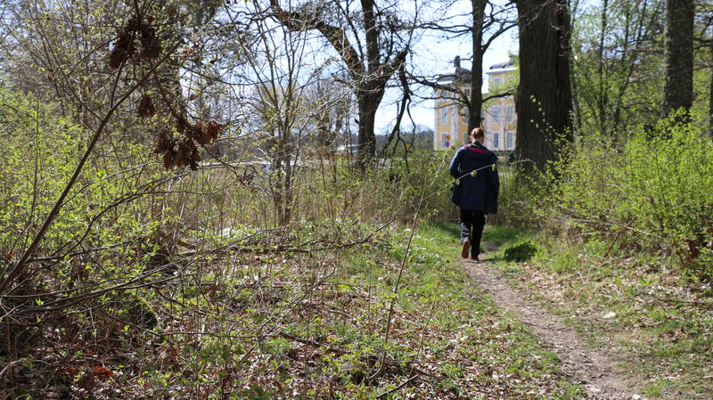 Vandringsled, Djurgårdsskogen