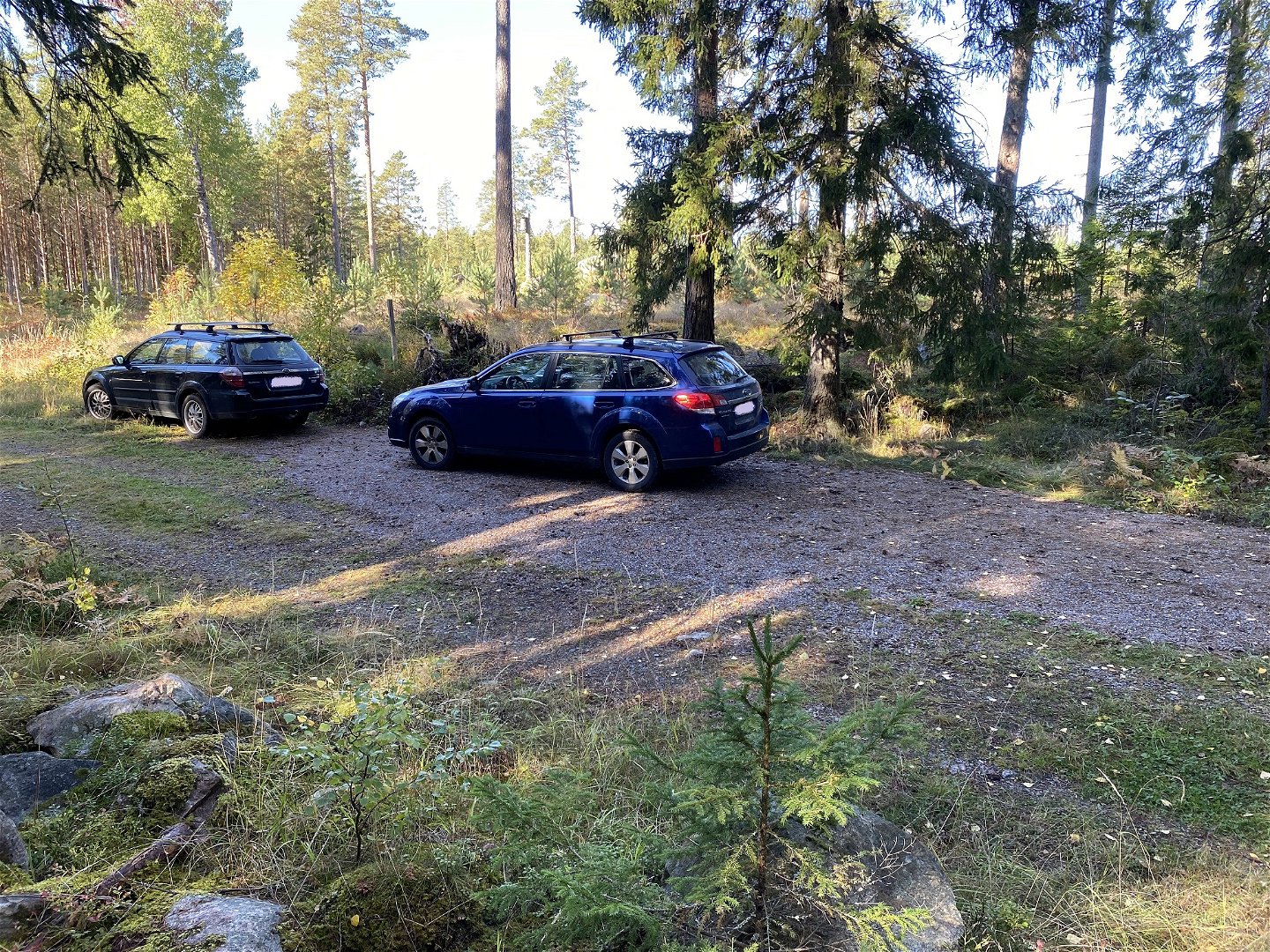 Två bilar står på rad på en grusad yta i skogen.