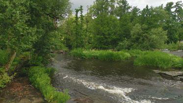 Forshalls Naturpark