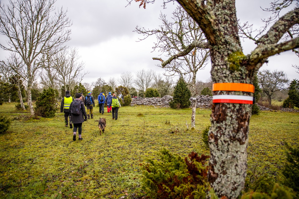 Vandring utmed leden en decemberdag.
