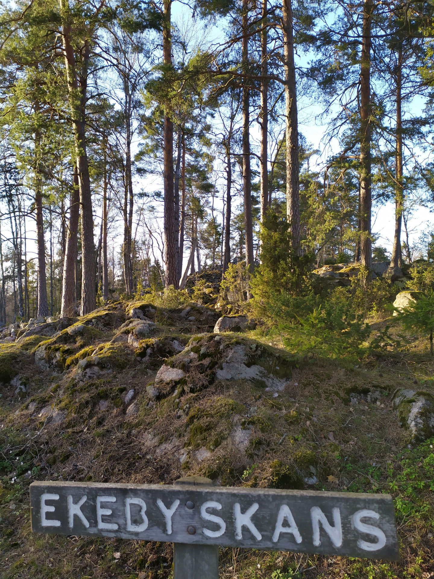 Ekeby skans
