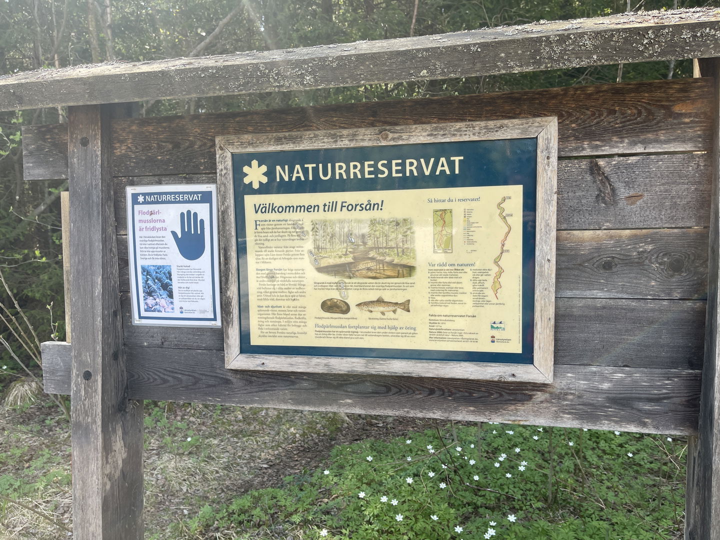 Skylt med information om naturreservatet vid stigstart.