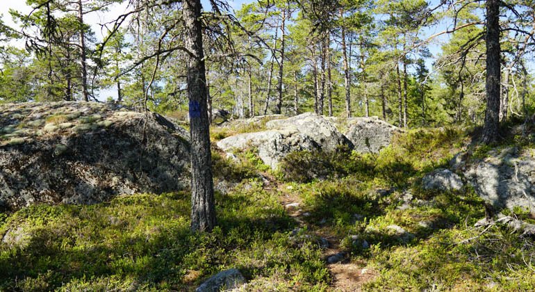 Åstöns naturreservat.