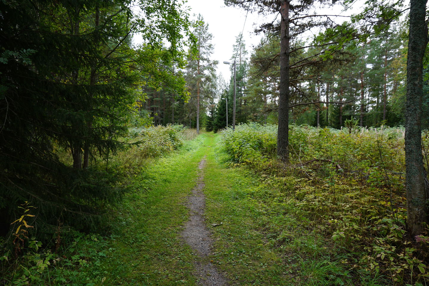 Hedens motionsspår