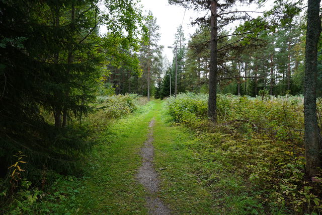 Hedens motionsspår 3,4 km