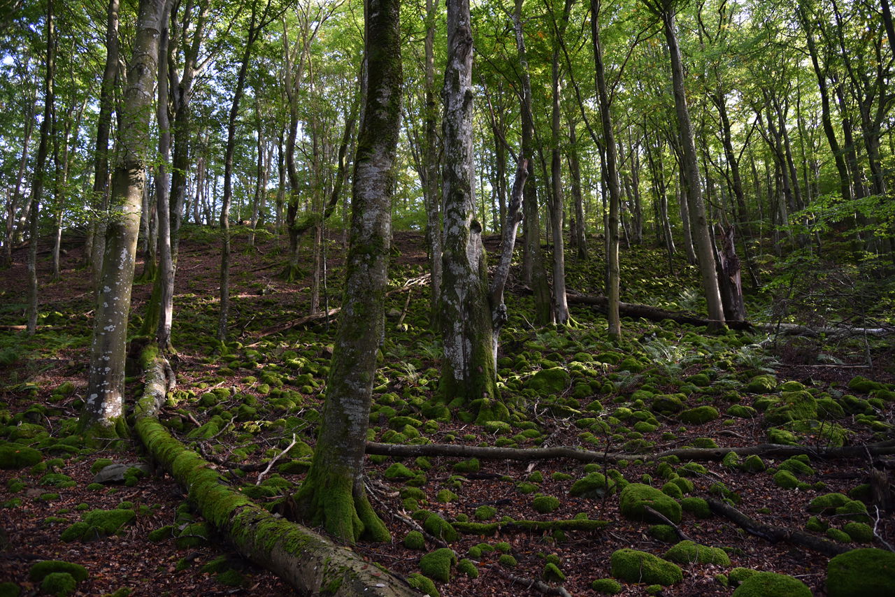 Vulkanen Jällabjär