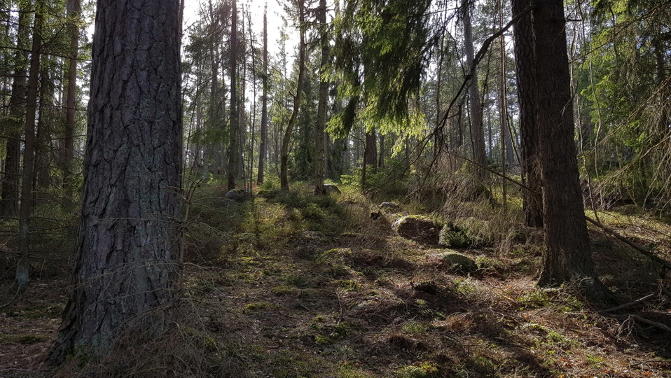 Fågelöudde. Foto Lidingö stad