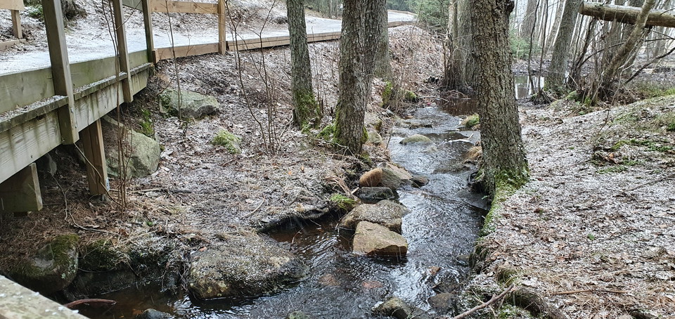 Porlande bäck under Maxingeslingan.