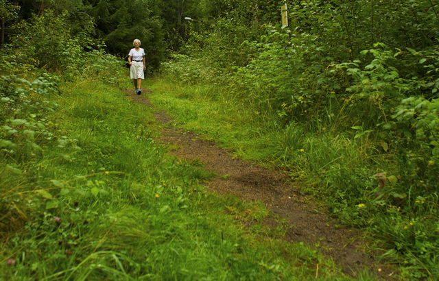 Gistad elljusspår (2,5 km)