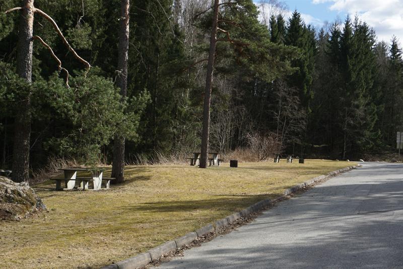 Fossum bridge picnic area