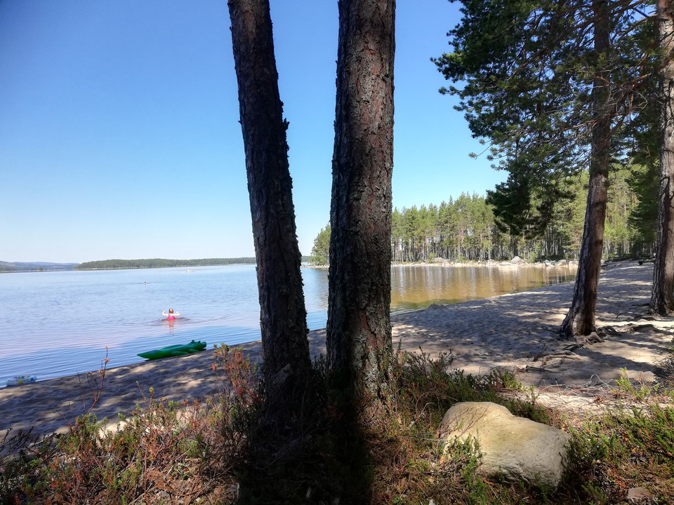 Skugga på morgonsidan. 